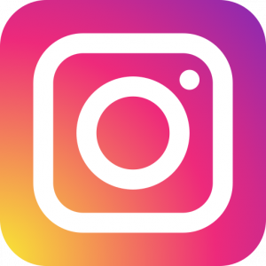 4102579_applications_instagram_media_social_icon_1.png